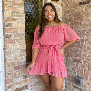 The Impeccable Pig Gingham Dress